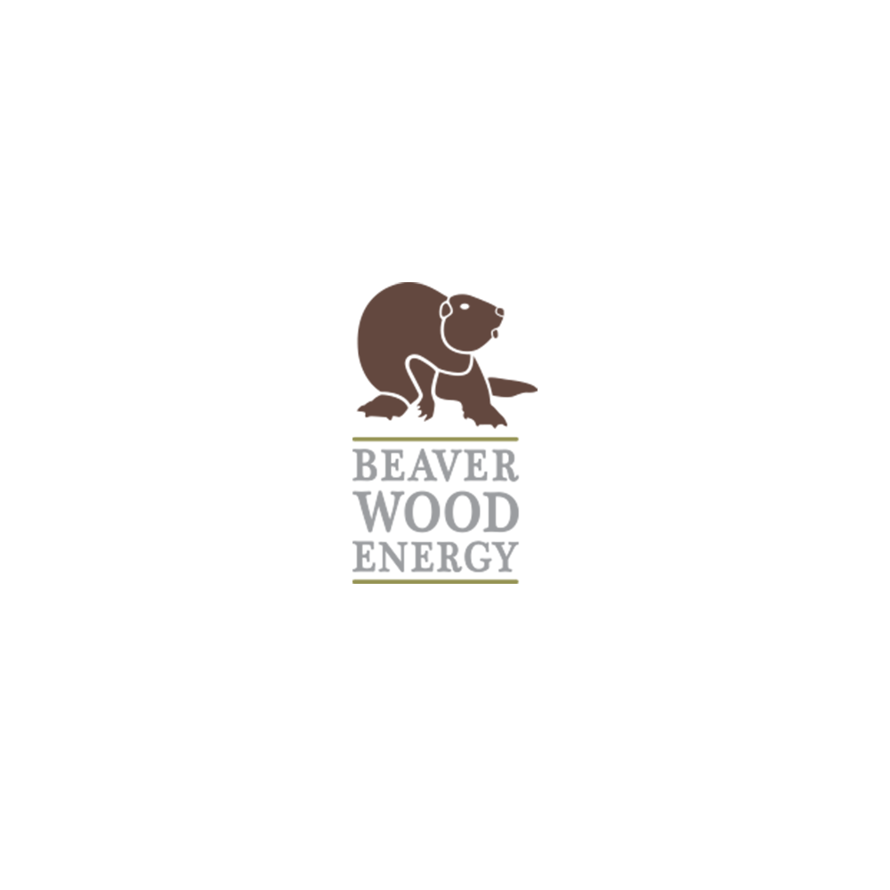 beaver